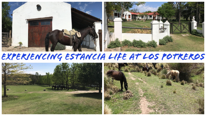 Experiencing estancia life at Los Potreros