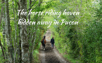 The horse riding haven hidden away in Pucon, Chile