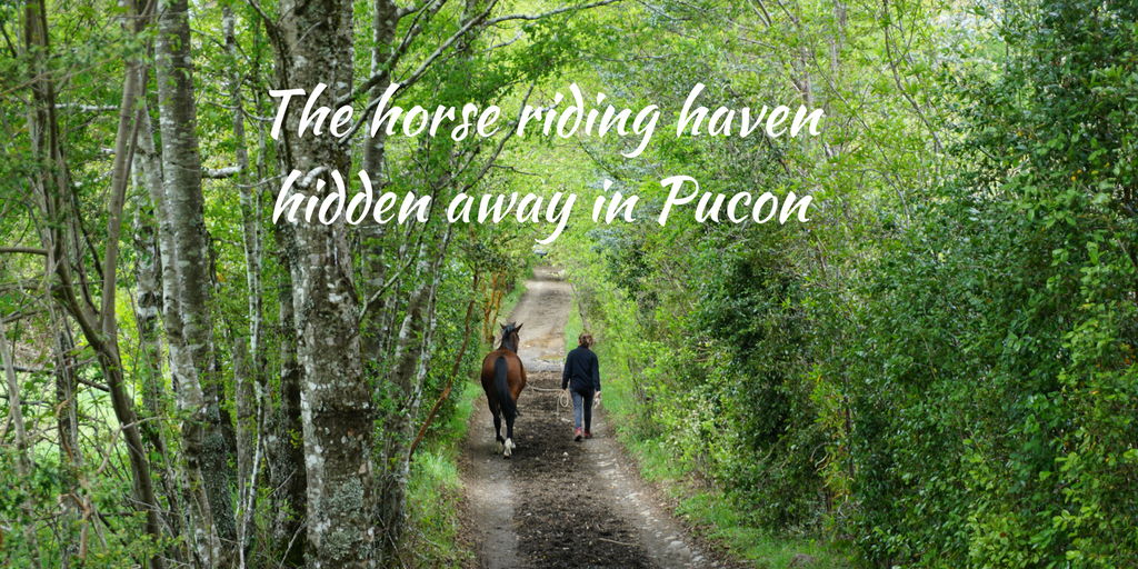 The horse riding haven hidden away in Pucon, Chile