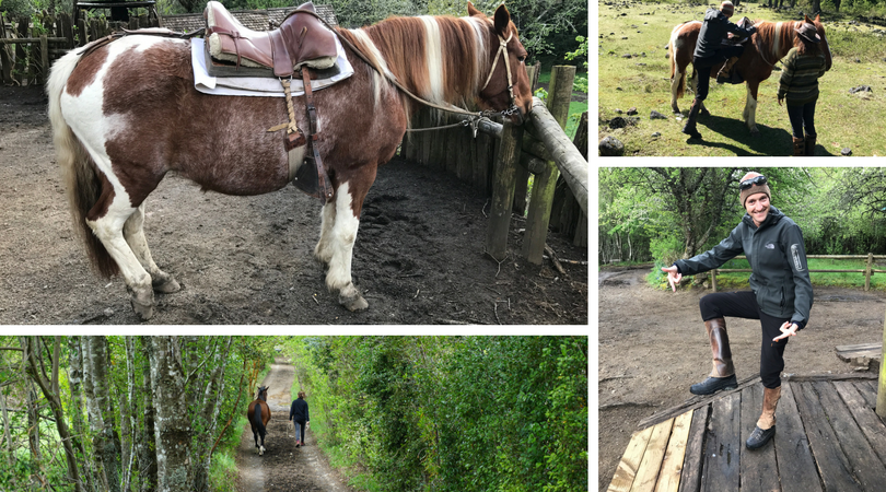 Horse riding in Pucon fun times