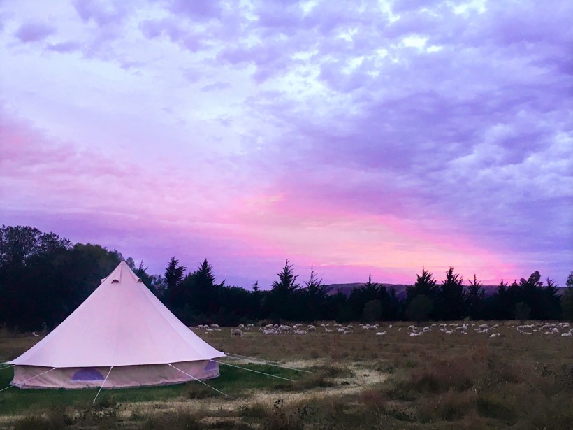 Glamping Albury New Zealand