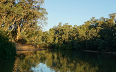 The Best Place to Brunch in Swan Hill