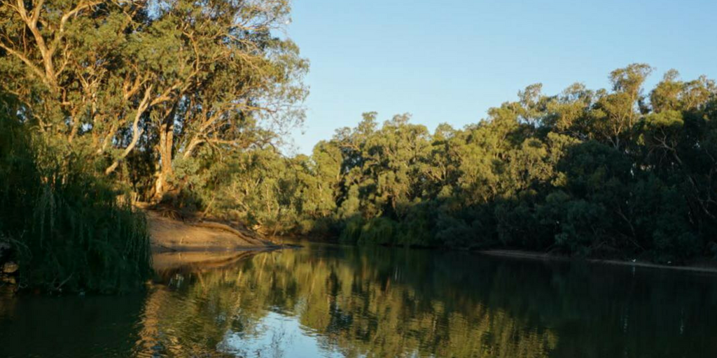 The Best Place to Brunch in Swan Hill