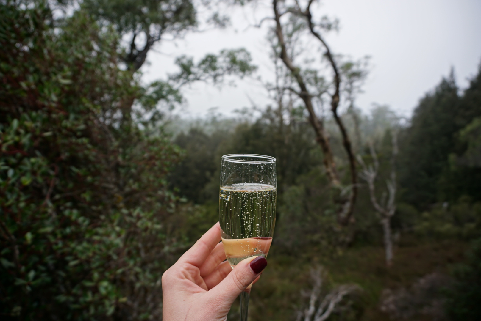 Cheers to free sparkling wine