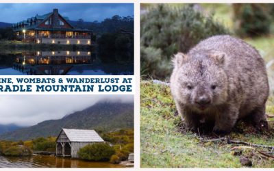Wine, Wombats and Wanderlust at Cradle Mountain Lodge