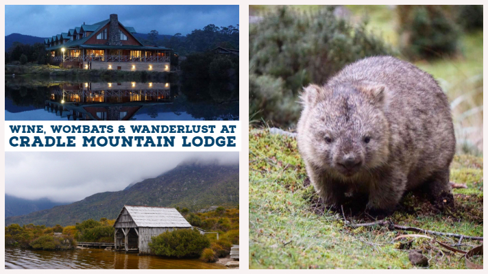 Wine, Wombats and Wanderlust at Cradle Mountain Lodge