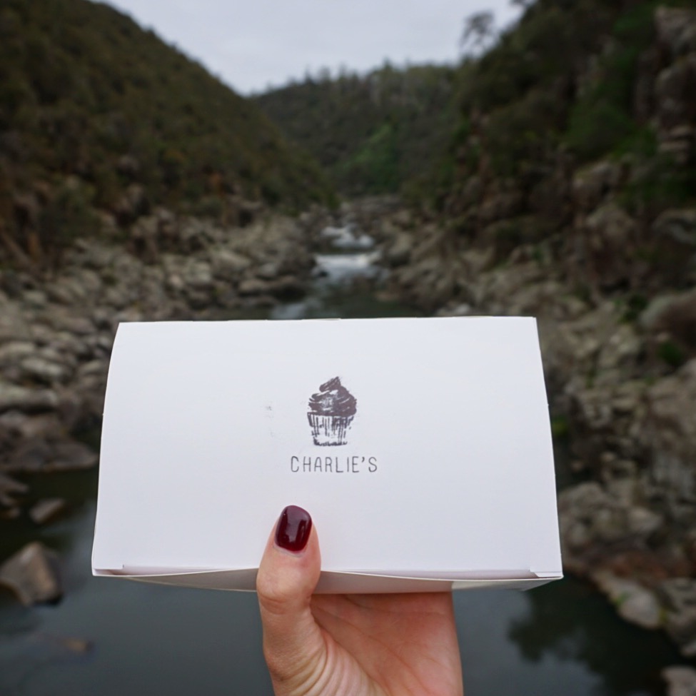 Sweet treats at Cataract Gorge