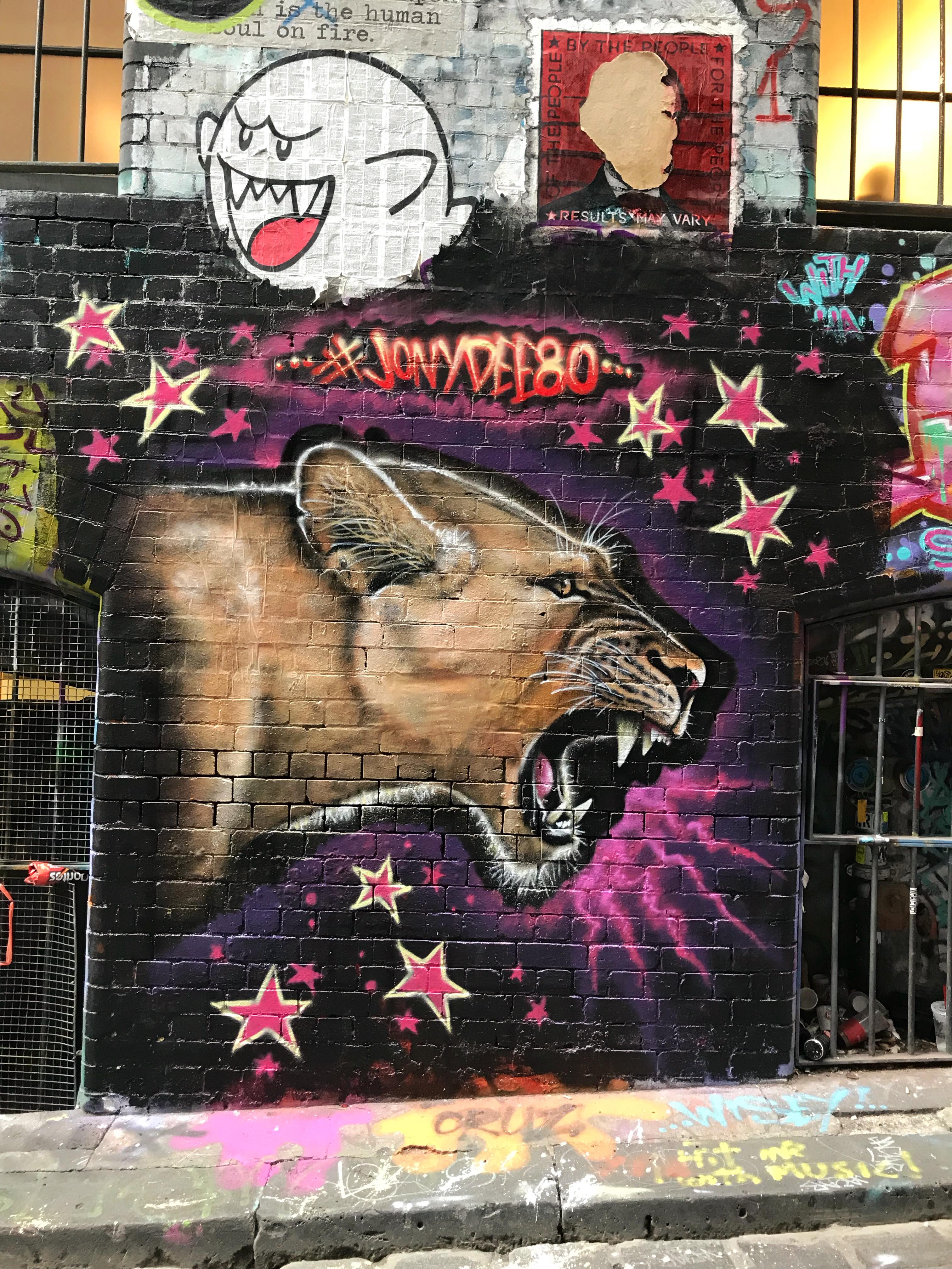 Street art hosier lane Melbourne