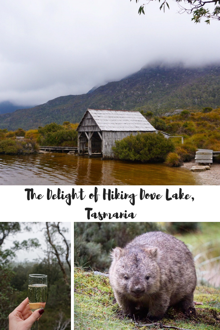 The Delight of Hiking Dove Lake, Tasmania.