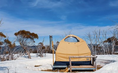 How to Have a Memorable Alpine Nature Experience in Australia