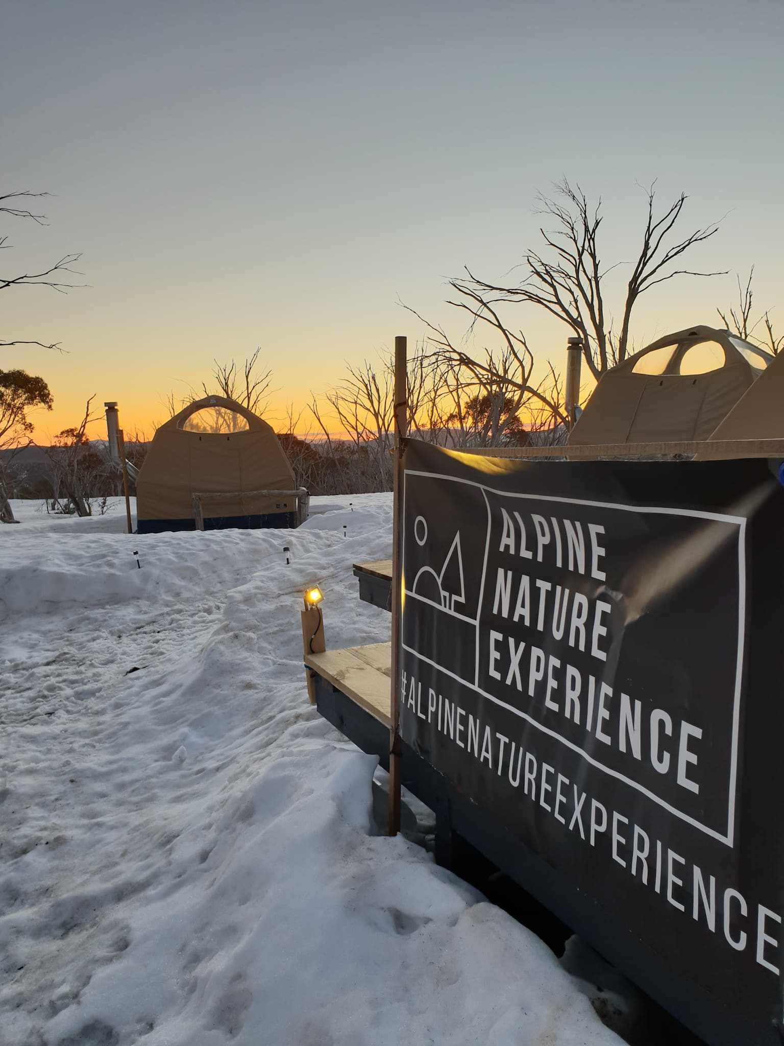 Amazing Alpine Nature experience