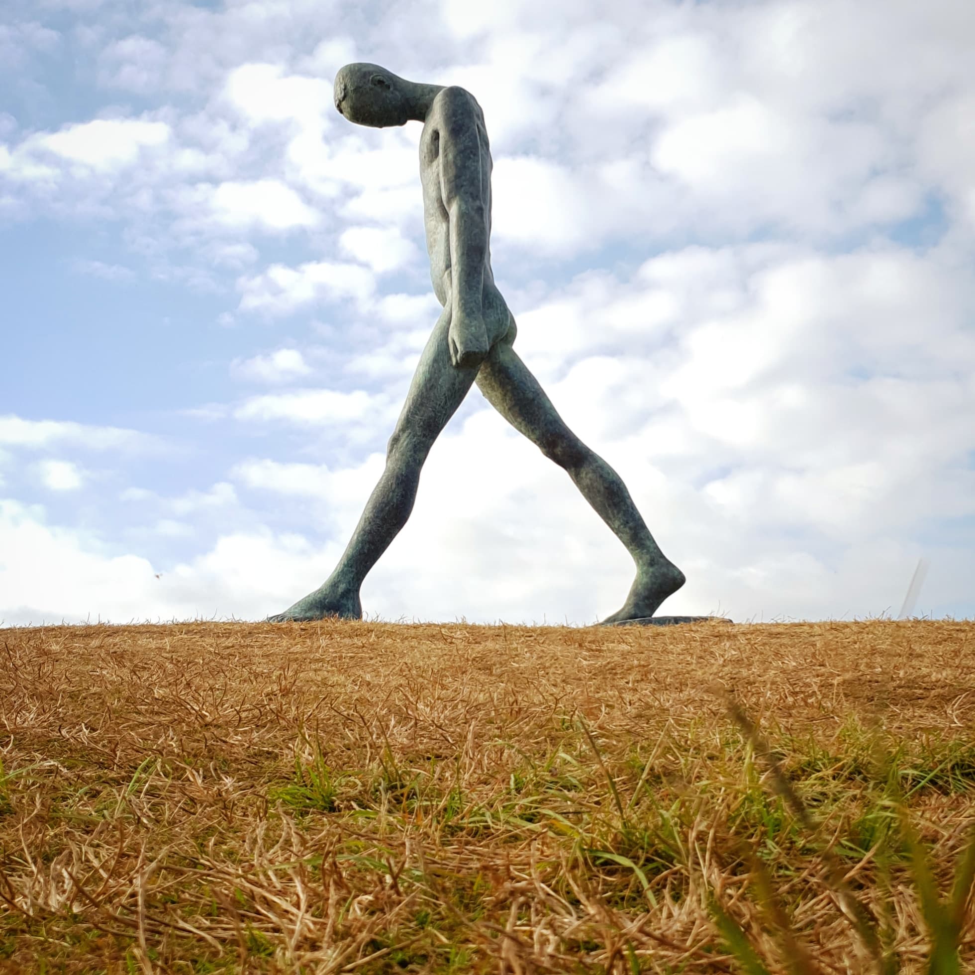 Samsung Galaxy S9 Sculpture by the sea 2018 Samsung Galaxy S9 Sculpture by the sea 2018