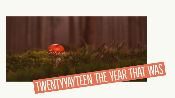 TwentyYayTeen The Year That Was