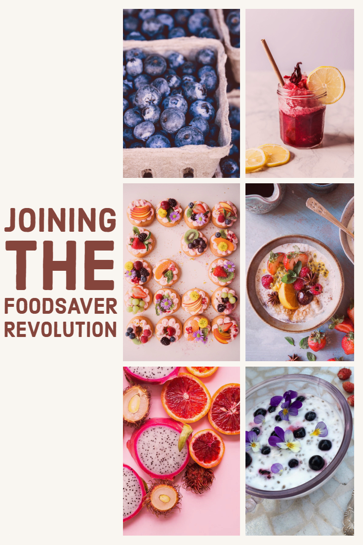 Joining the FoodSaver Revolution 