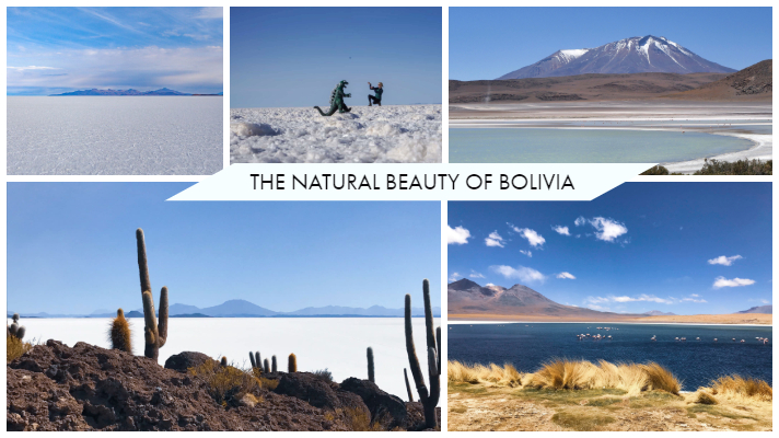 The Natural Beauty of Bolivia