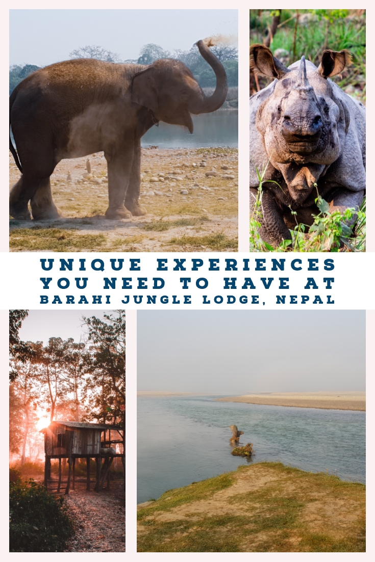 Barahi Jungle Lodge sits on the river Rapti and is home to one of Nepal's top luxury and sustainable hotels. A place to relax, enjoy Chitwan National Park and enjoy life. Learn how to get the best experiences during your time at Barahi Jungle Lodge, Nepal. #nepal #nationalpark #luxurytravel #sustainable #ecotraveller