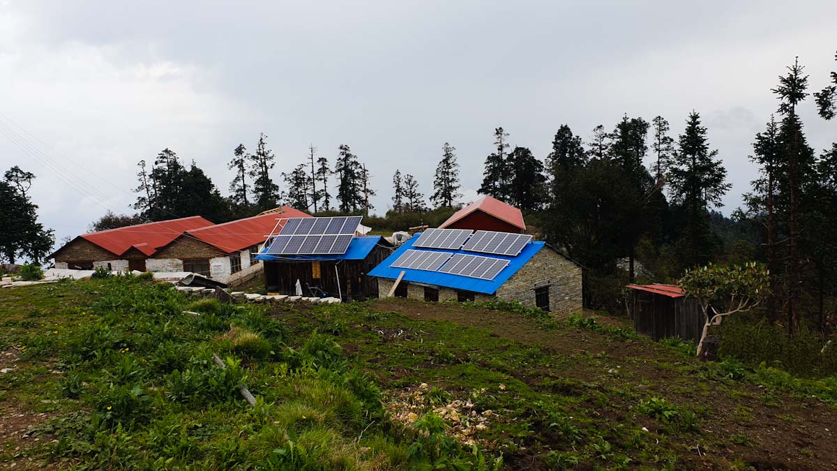 Mohare Danda Trek summit village