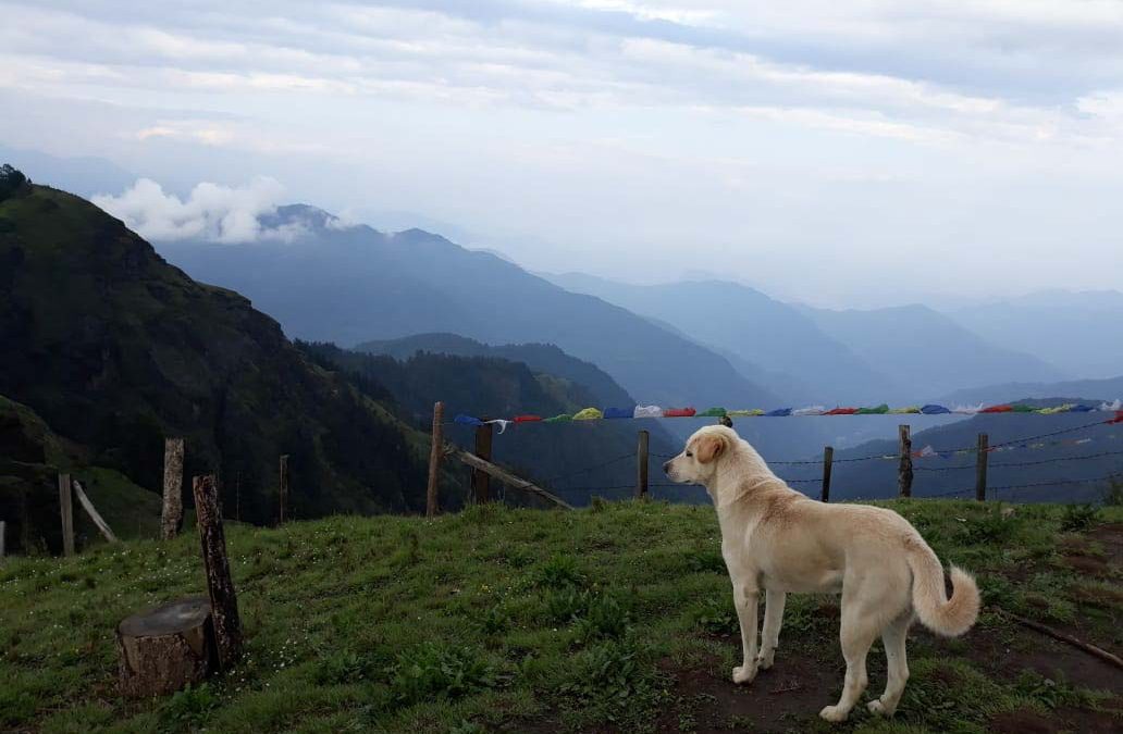 Hiking the Mohare Danda Community Managed Eco-Trail