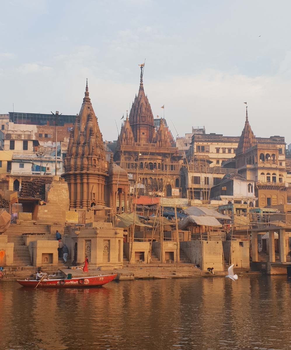 Seagulls on Ganges Varanasi