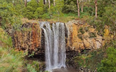 Top three foodie spots you must visit in the Macedon Ranges – that won’t break the bank