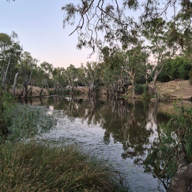 Camp life.

Toby and I living our best millennial life on a camping trip. This is one of the many free camping spots in Victoria (no facilities so you need to byo everything and take your rubbish home!)

Can you spot all the ridiculous little things I've bought for myself to glowup my camping life!

After spending the first 7 weeks of this year unwell and then recovering from surgery it was an absolute dream to get outside once again! 

#campingAustralia #freecamping #campdog